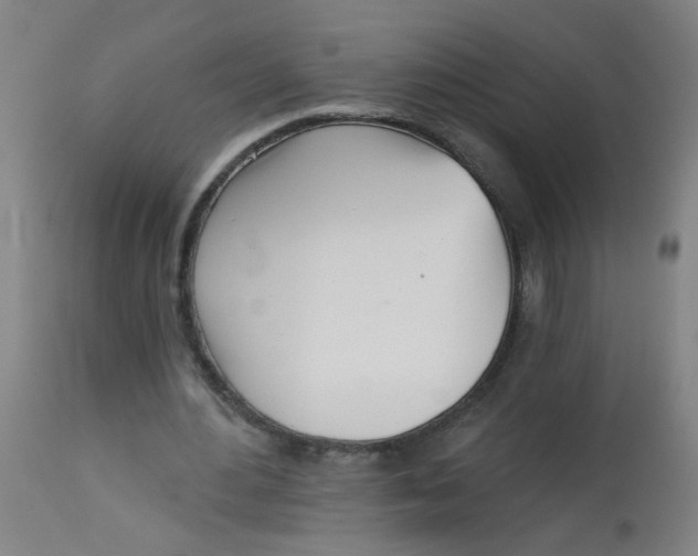 X0000113000484200909171410