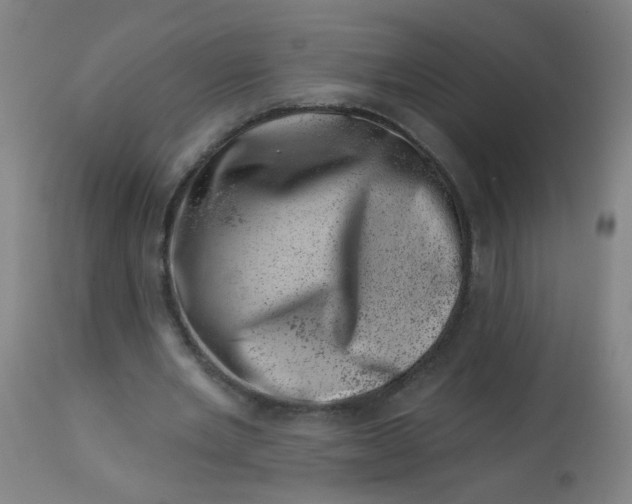 X0000113000485200909171410