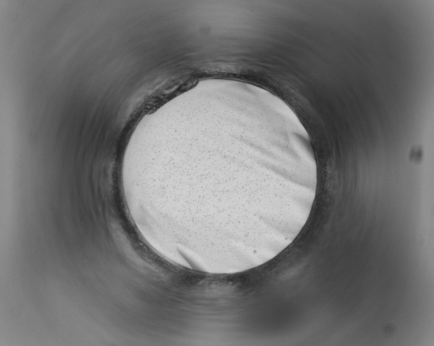 X0000113000491200909171410