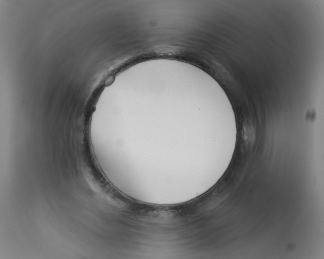 X0000113000492200909171410