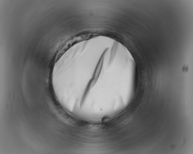 X0000113000495200909171410