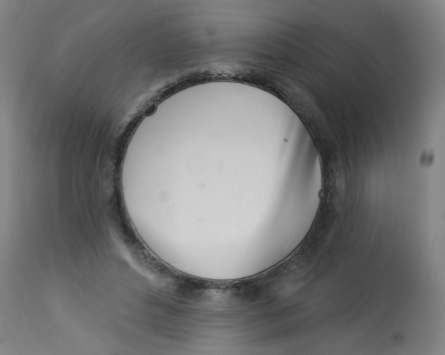 X0000113000496200909171410