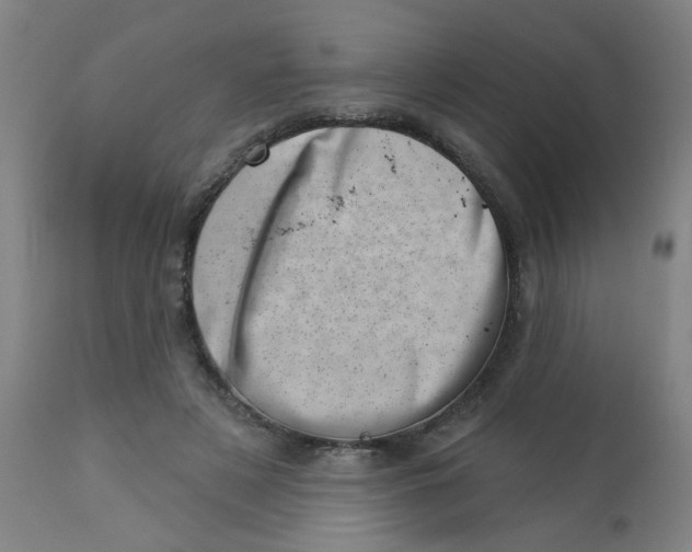 X0000113000497200909171410