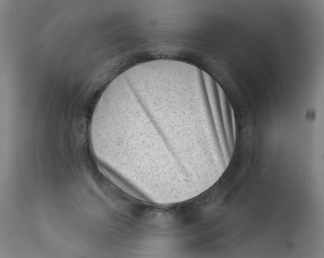 X0000113000498200909171410