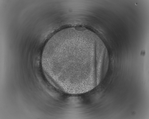 X0000113000499200909171410