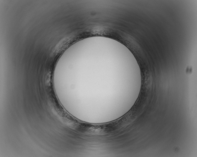 X0000113000502200909171409