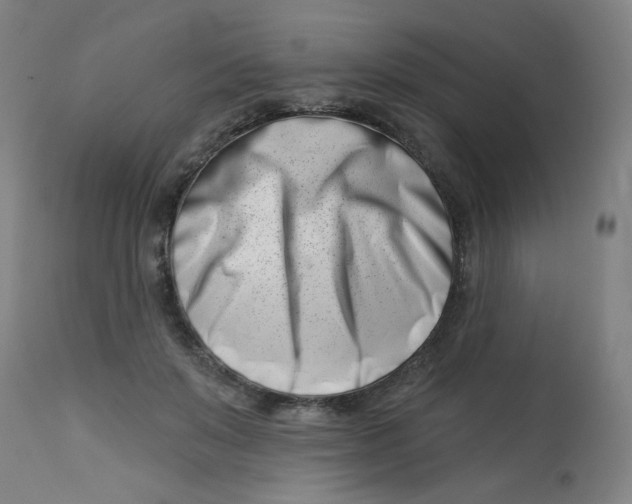 X0000113000503200909171409