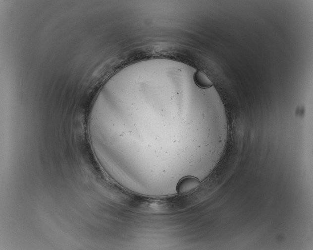 X0000113000506200909171409