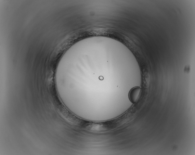 X0000113000507200909171409