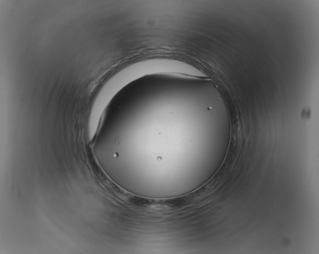 X0000113000508200909171409