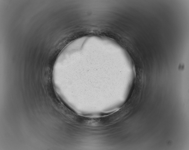 X0000113000511200909171409