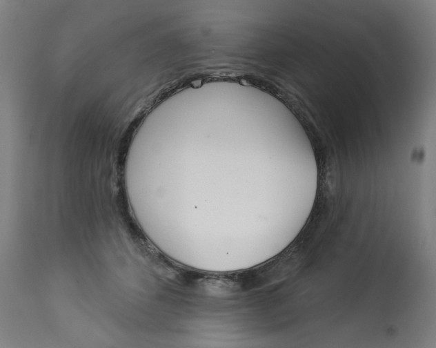 X0000113000512200909171409