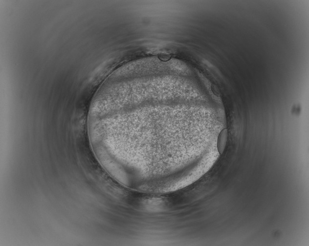 X0000113000513200909171409