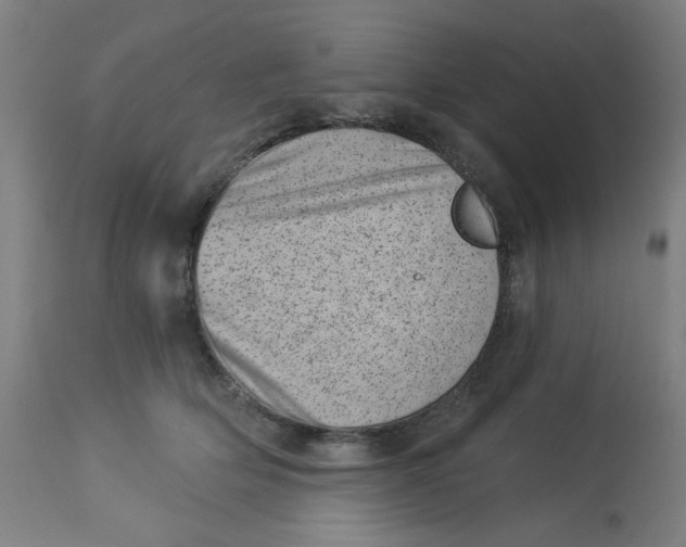 X0000113000514200909171409