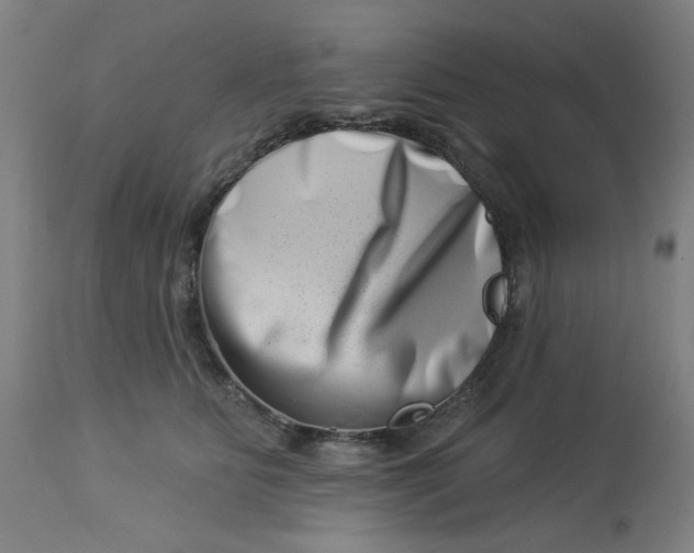 X0000113000515200909171409