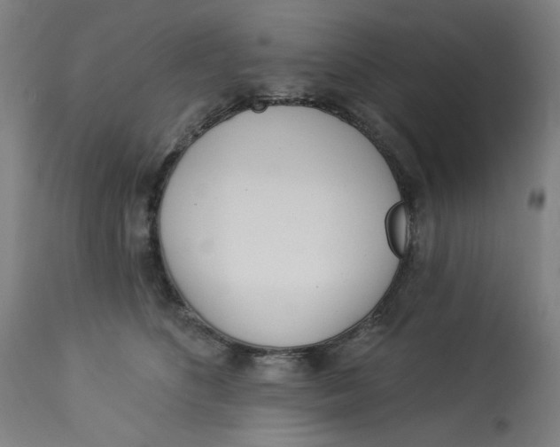 X0000113000516200909171409