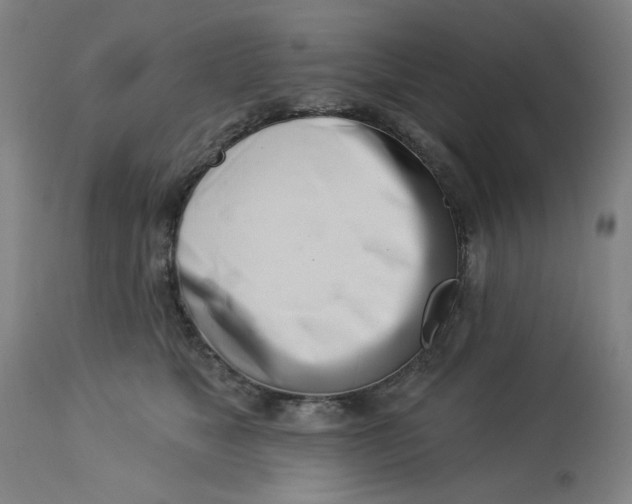 X0000113000517200909171409