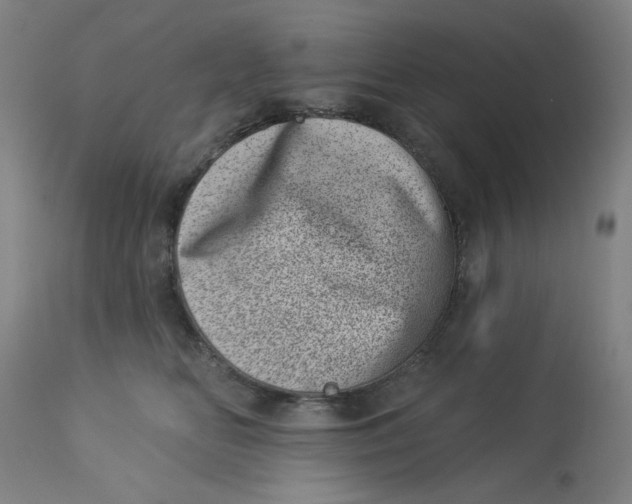 X0000113000518200909171409