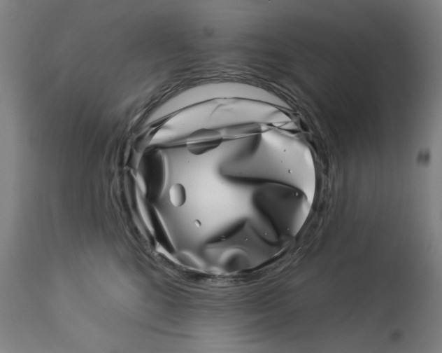 X0000113000520200909171409