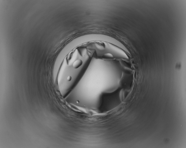 X0000113000521200909171409