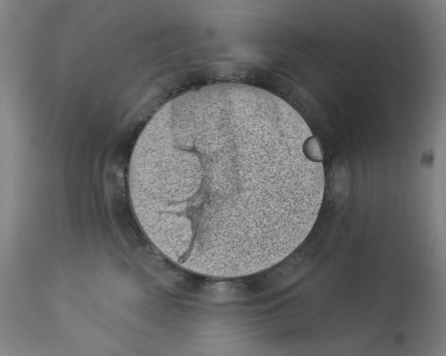 X0000113000522200909171409