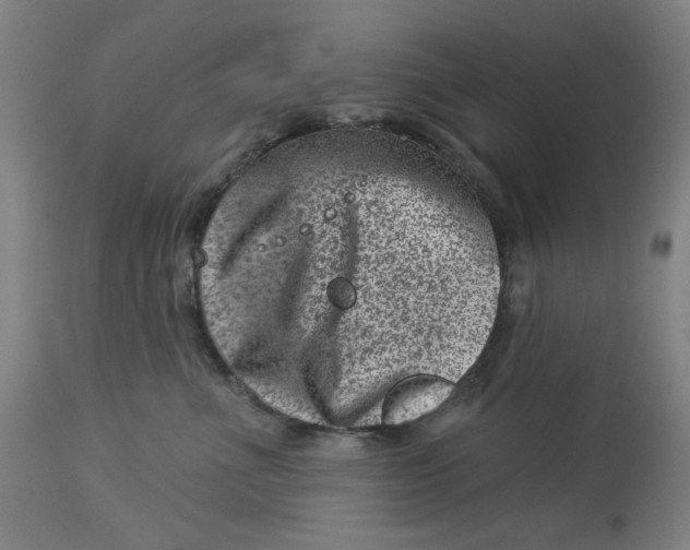 X0000113000523200909171409