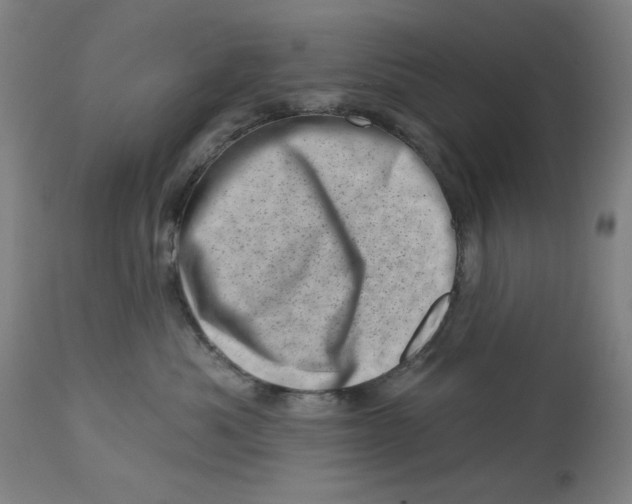 X0000113000525200909171409