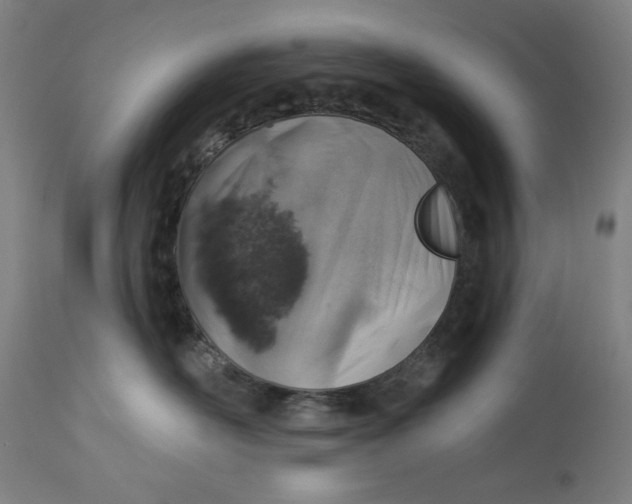 X0000113000526200909171409