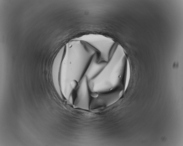 X0000113000528200909171409