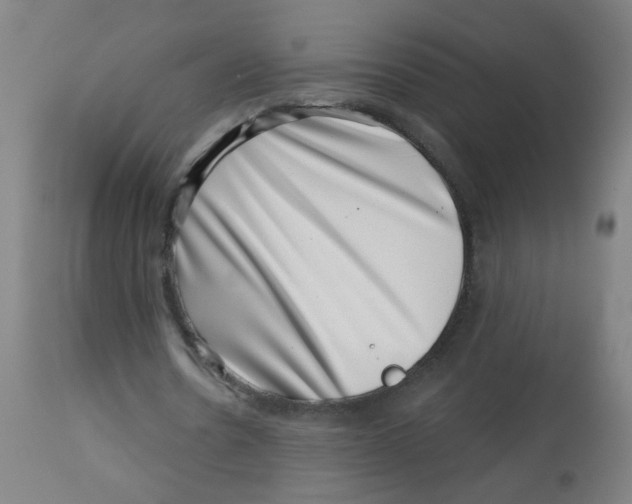 X0000113000530200909171408