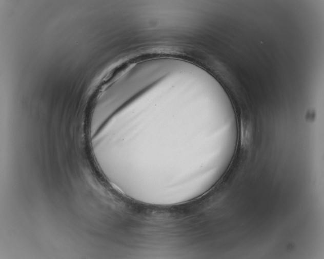 X0000113000531200909171408