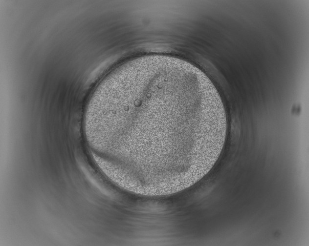 X0000113000533200909171408