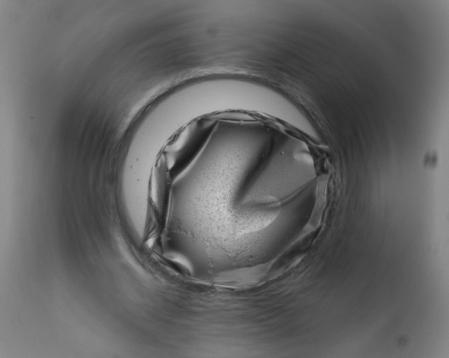 X0000113000534200909171408