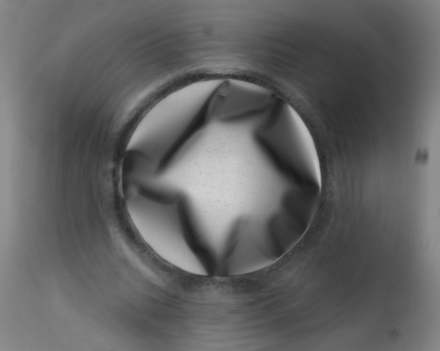 X0000113000535200909171409