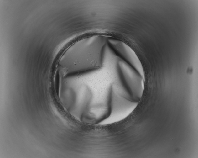 X0000113000536200909171409