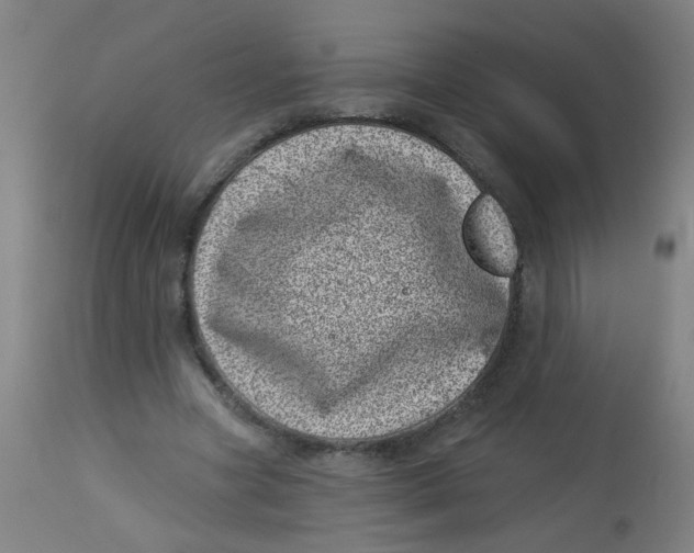 X0000113000537200909171409