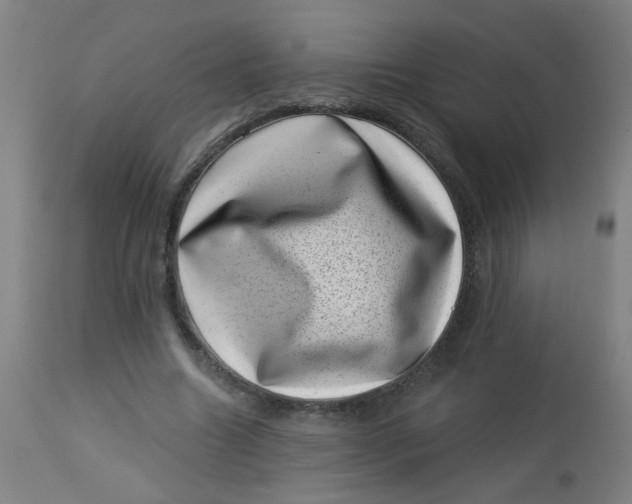 X0000113000538200909171409