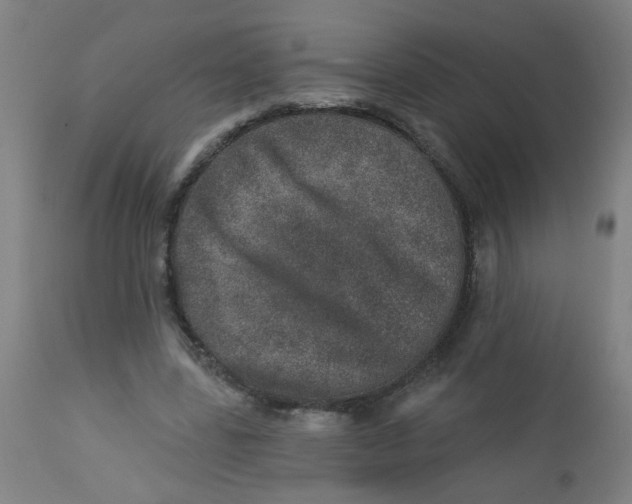 X0000113000539200909171409