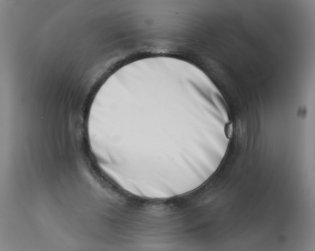 X0000113000540200909171409