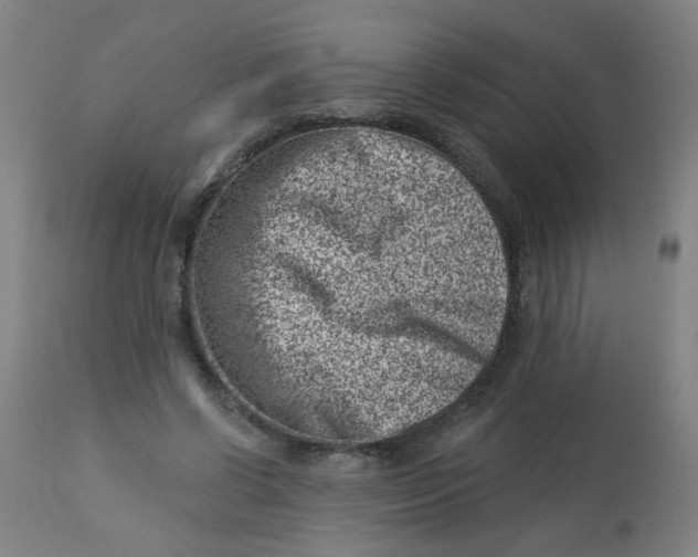 X0000113000542200909171409