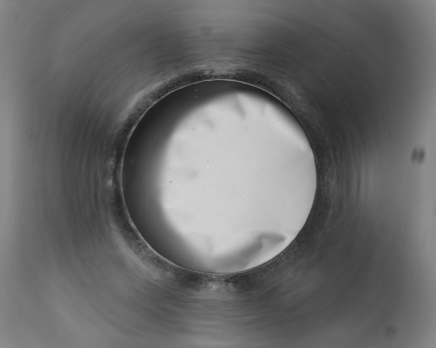 X0000113000543200909171409