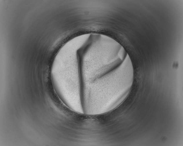 X0000113000544200909171409