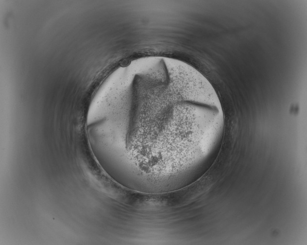 X0000113000546200909171409