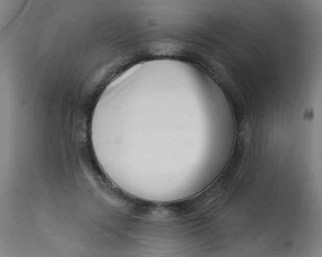 X0000113000547200909171409