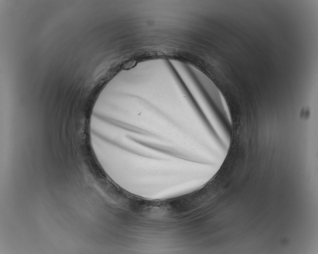 X0000113000548200909171409