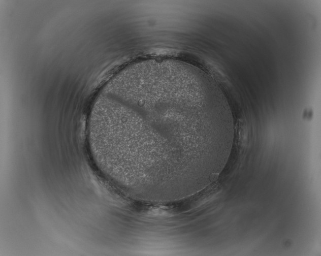 X0000113000550200909171409