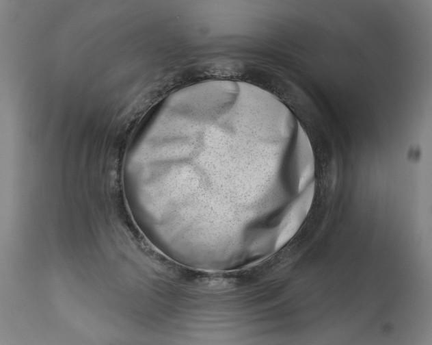 X0000113000553200909171409