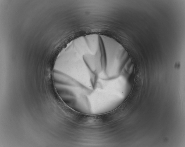 X0000113000555200909171409