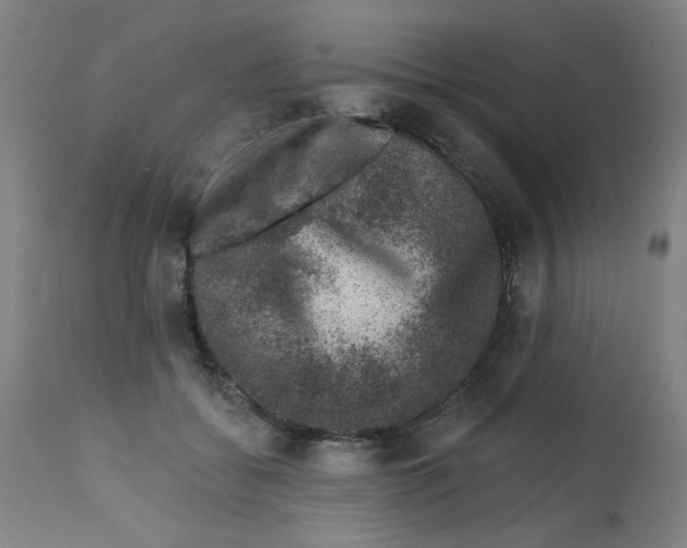 X0000113000556200909171409