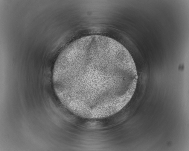 X0000113000557200909171409